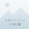 极限高手在都市 极限高手在都市