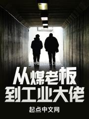 从煤老板到工业大佬 从煤老板到工业大佬