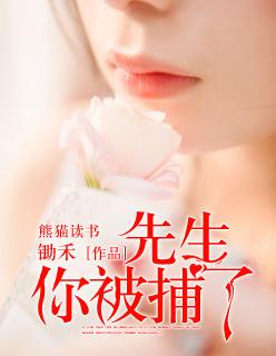 先生,你被捕了 先生,你被捕了