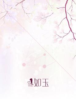 罂粟花 罂粟花
