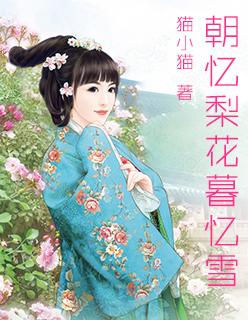 朝忆梨花暮忆雪 朝忆梨花暮忆雪