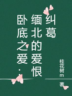 卧底之爱:缅北的爱恨纠葛 卧底之爱:缅北的爱恨纠葛